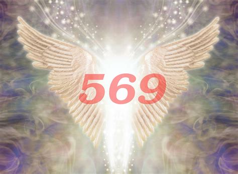569 569