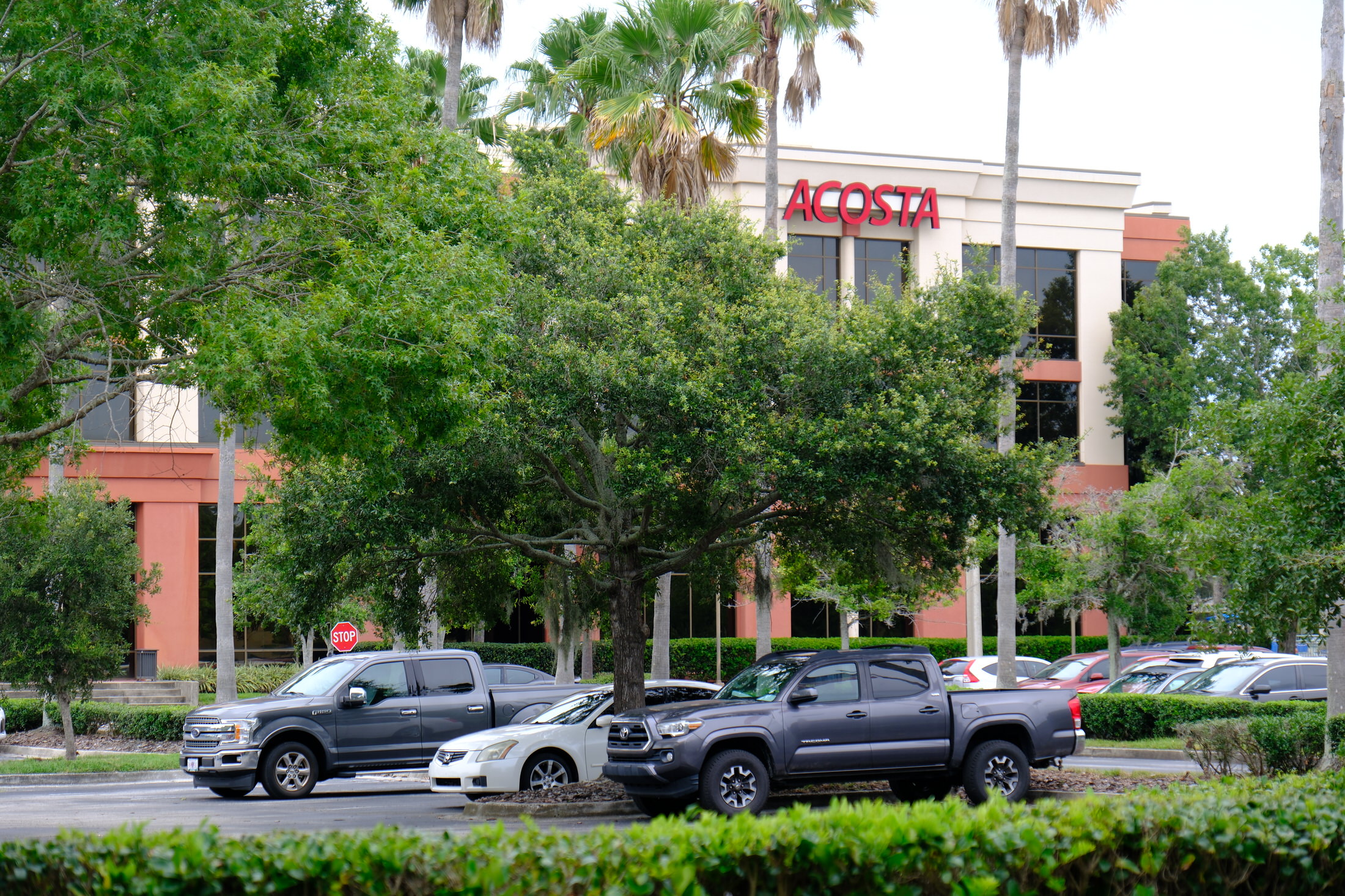 Acosta M A Summary Ownership And Business Overview Mergr Acosta M A Summary Ownership And Business Overview Mergr