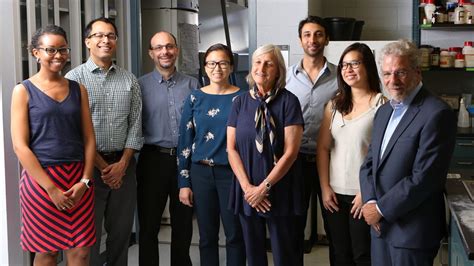 Alice Prince Lab
