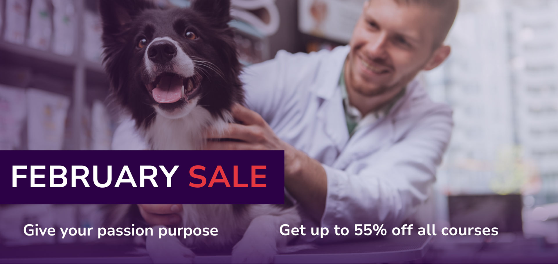 Animal Care Courses Qualifications Animal Careers Direct Animal Care Courses Qualifications Animal Careers Direct