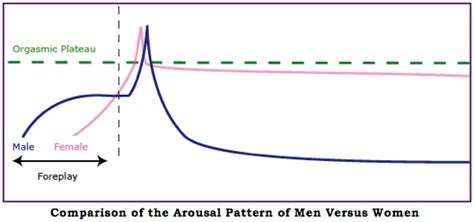 Average Male Refractory Period Average Male Refractory Period