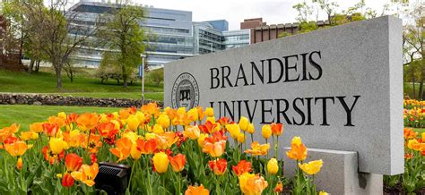 Brandeis University Careers