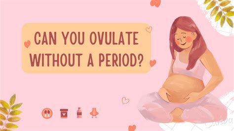 Can You Menstruate Without Ovulating