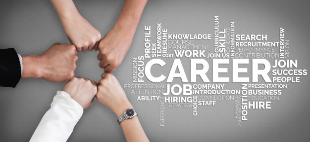 Careers Including Travel