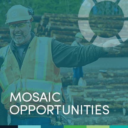 Careers Mosaic Career Opportunities Mosaic Forest Management Careers Mosaic Career Opportunities Mosaic Forest Management