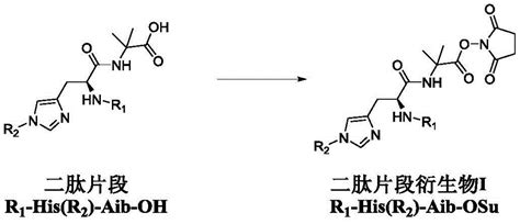 Cn112625087a Dipeptide Fragment Derivative For Synthesizing Cn112625087a Dipeptide Fragment Derivative For Synthesizing
