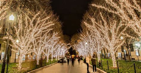 Columbia Tree Lighting