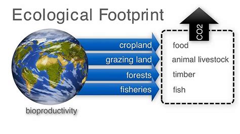 Countries With The Largest Ecological Footprints Worldatlas Countries With The Largest Ecological Footprints Worldatlas
