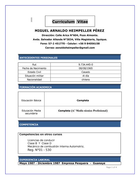 Cv Curriculum A Ejemplo Cv Formato Miguel Arnaldo Heimpeller P Rez