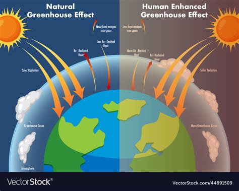 Diagram Of A Greenhouse Effect Diagram Of A Greenhouse Effect