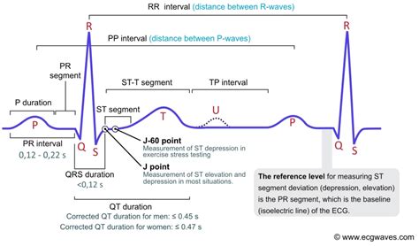 Ecg Interpretation Characteristics Of The Normal Ecg P Wave Qrs Ecg Interpretation Characteristics Of The Normal Ecg P Wave Qrs