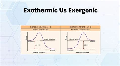 Exergonic Vs Exothermic