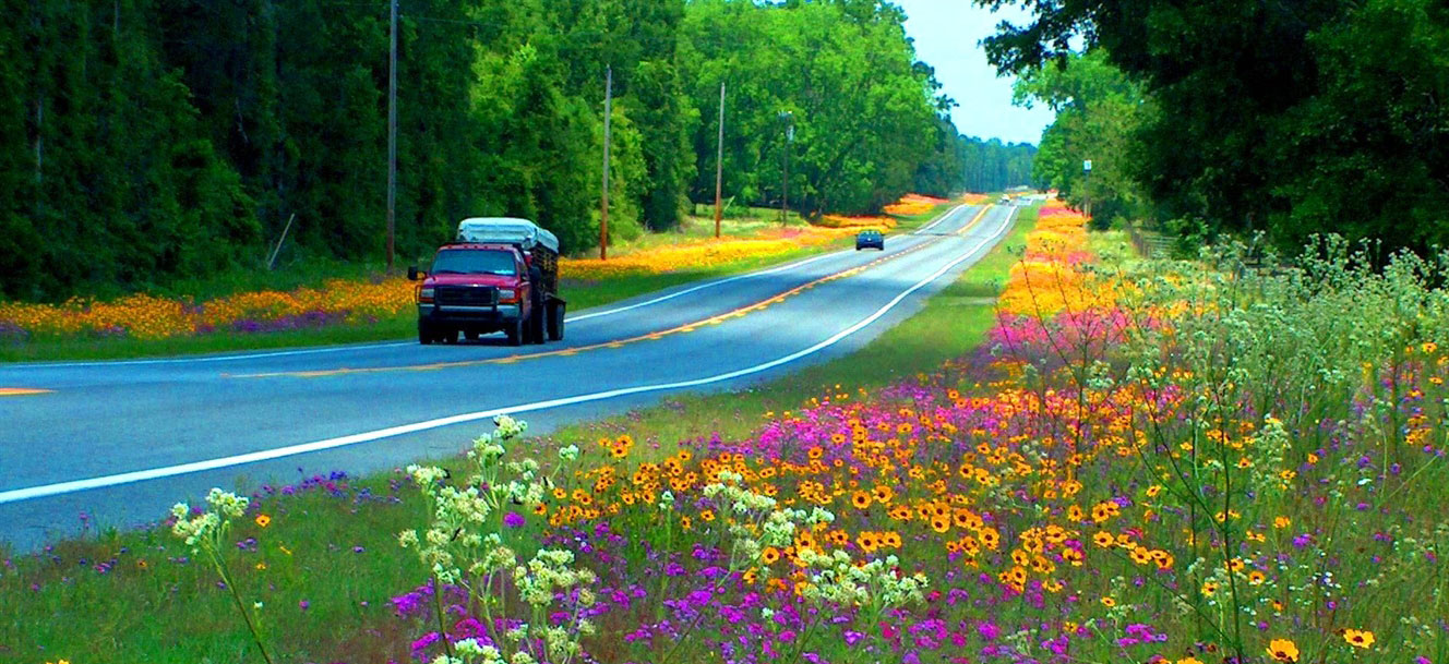 Fdot Careers