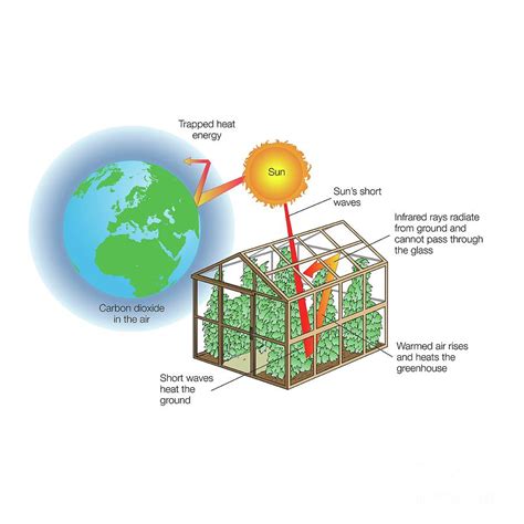 Greenhouse Effect 1 Photograph By Science Photo Library Fine Art America Greenhouse Effect 1 Photograph By Science Photo Library Fine Art America