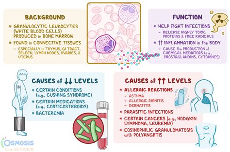 High Eosinophils