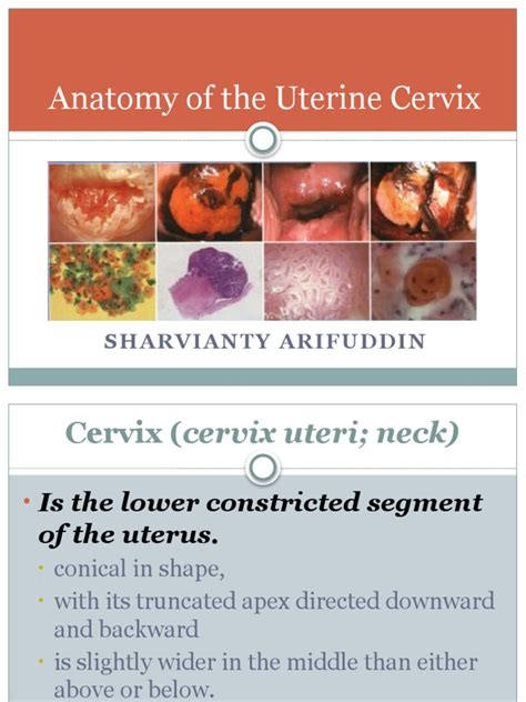 How Deep Is The Cervix