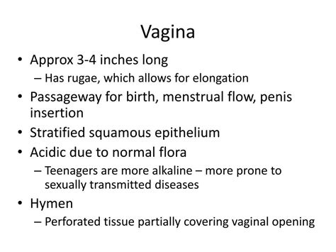 How Long Is The Vaginal