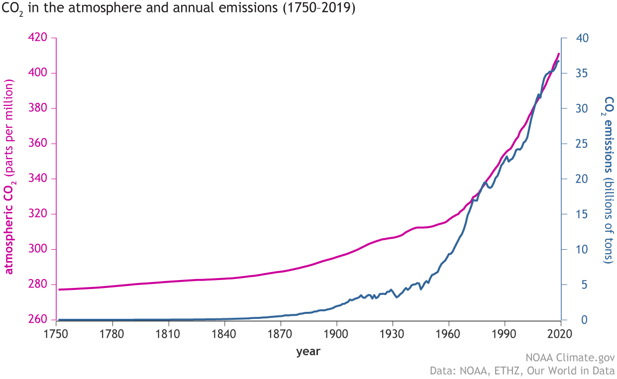 Increase Of Carbon Dioxide In Atmosphere Causes