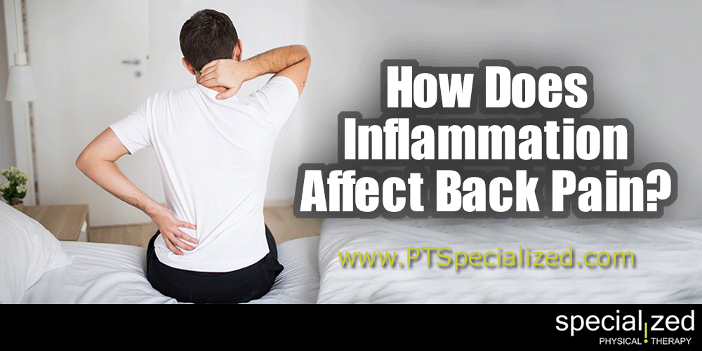 Inflammation In The Back