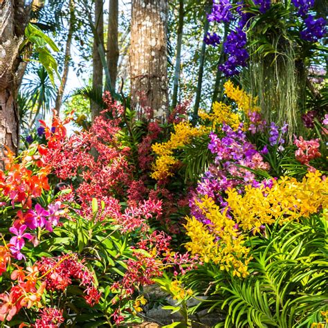 Joyful Garden
