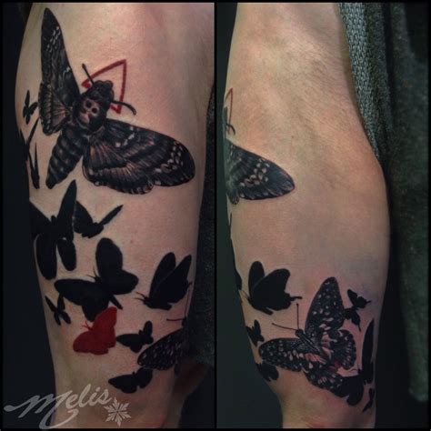 Melis Butterfly Moth Black And Grey Melis Butterfly Moth Black And Grey