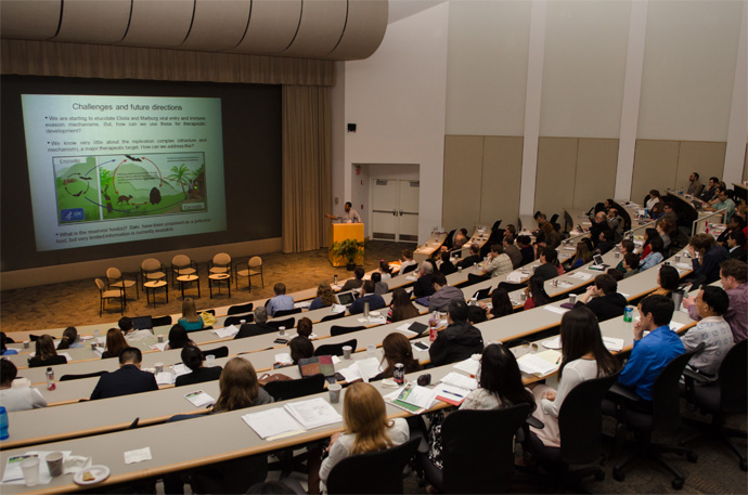 Phd In Sustainable Development