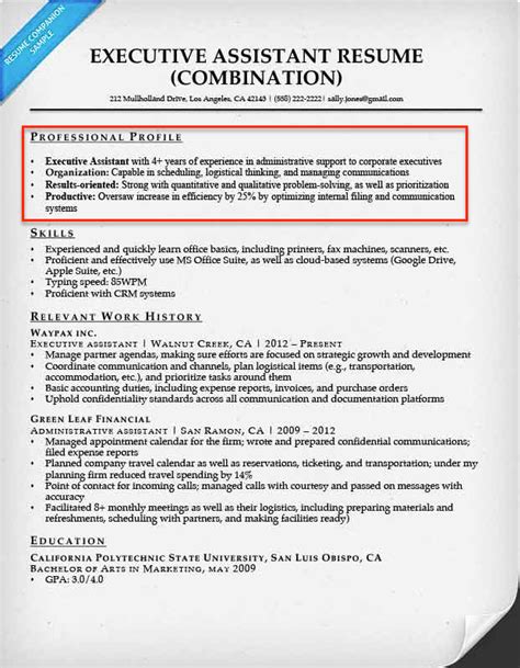 Professional Profile Examples For Resume Professional Profile Examples For Resume