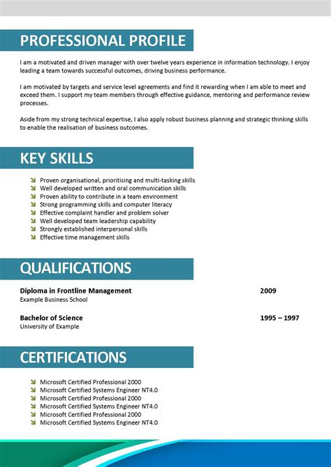 Profile On A Resume Examples