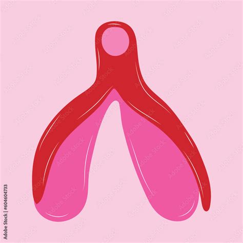 Reproductive System Of The Clitoris Clitoral Glans Feminism Theme And Reproductive System Of The Clitoris Clitoral Glans Feminism Theme And