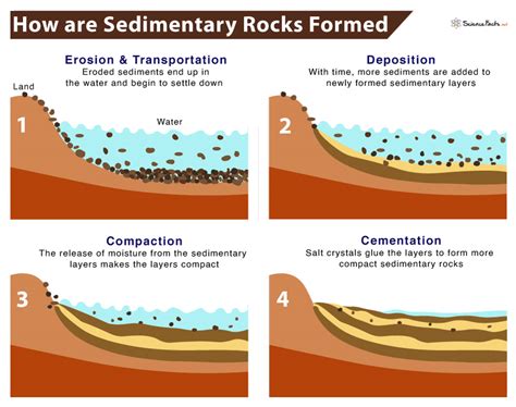 Sedimentary Rocks Form
