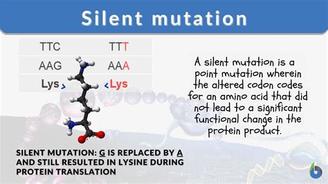 Silent Mutations