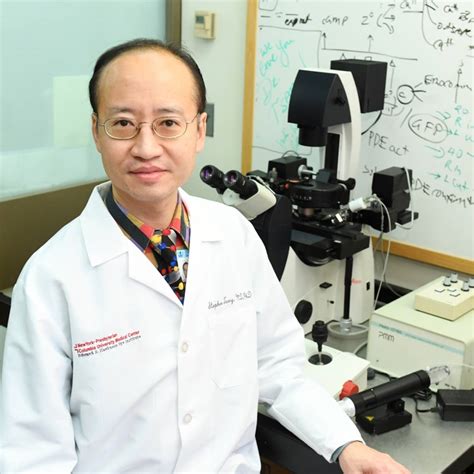 Stephen Tsang