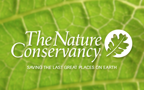 The Nature Conservancy Culture Linkedin The Nature Conservancy Culture Linkedin