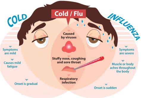 What Causes Flu