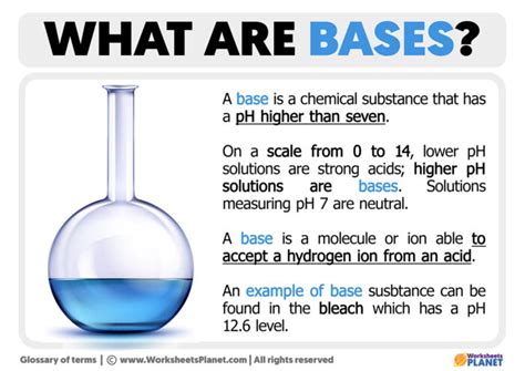 What Do Bases Mean What Do Bases Mean