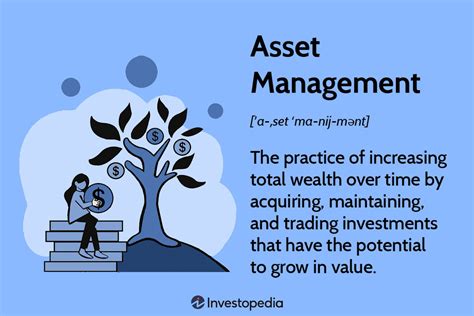 What Is Asset Management