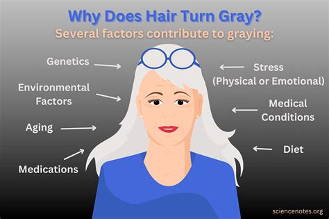 What Makes The Hair Turn Gray