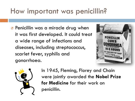 Why Is Penicillin Important